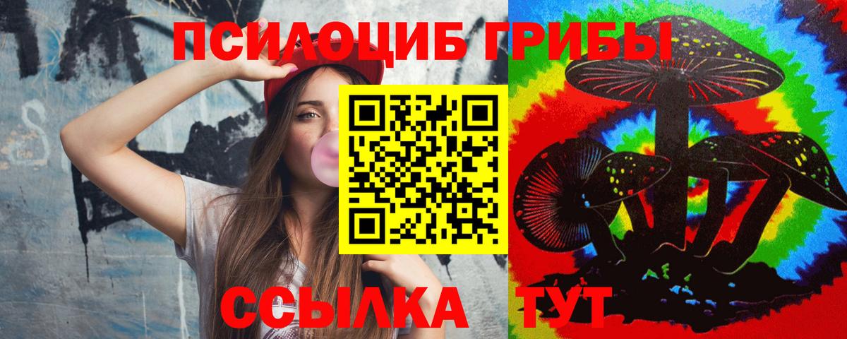 Касимов  Псилоцибиновые грибы Psilocybine cubensis  Галлюциногенные грибы Cubensis  Вход с VPN 